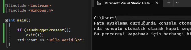 isdebuggerApi.png